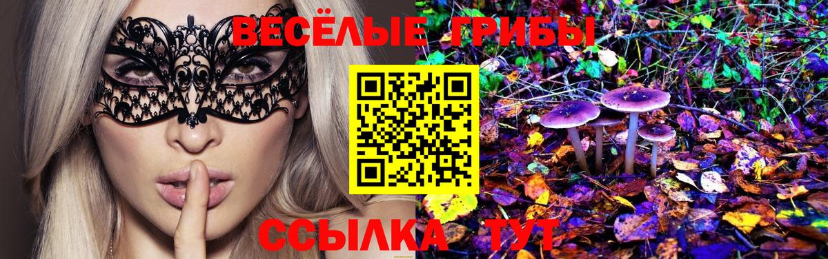 Галлюциногенные грибы прущие грибы Пенза