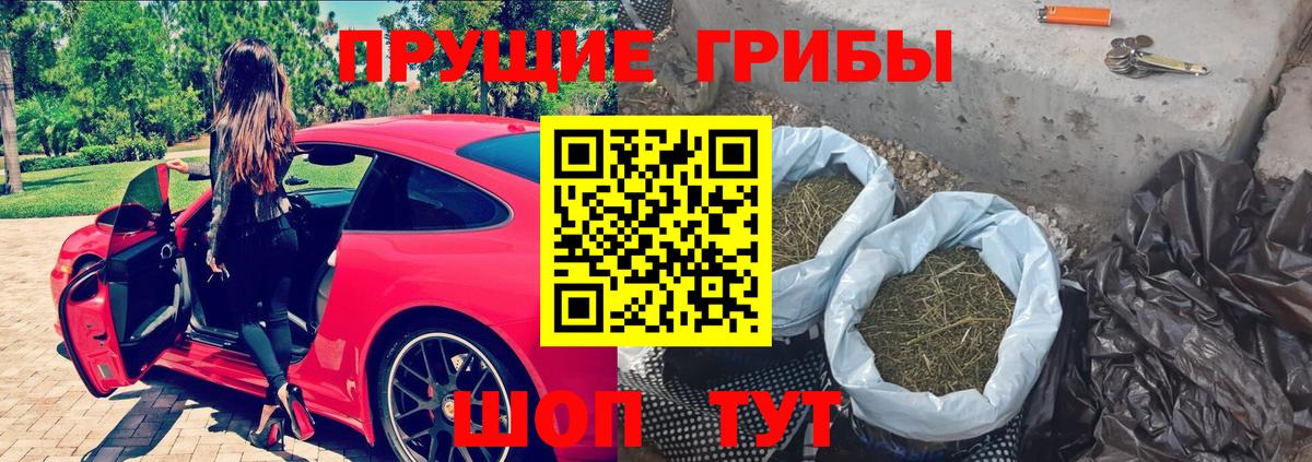 Галлюциногенные грибы Psilocybe  Вход с VPN  Пенза 